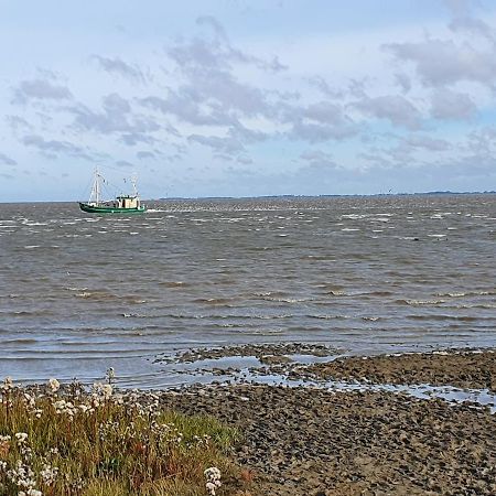 Ferienhaus An Der Nordsee - Familienfreundlich, Gut Ausgestattet & Viel Platz بوتجادينغين المظهر الخارجي الصورة